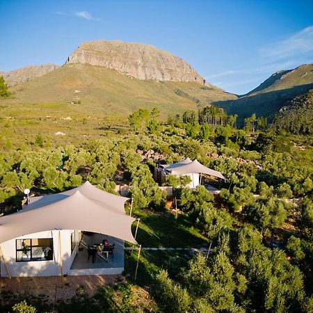 Wagyu Mountain Lodge Paarl Bagian luar foto