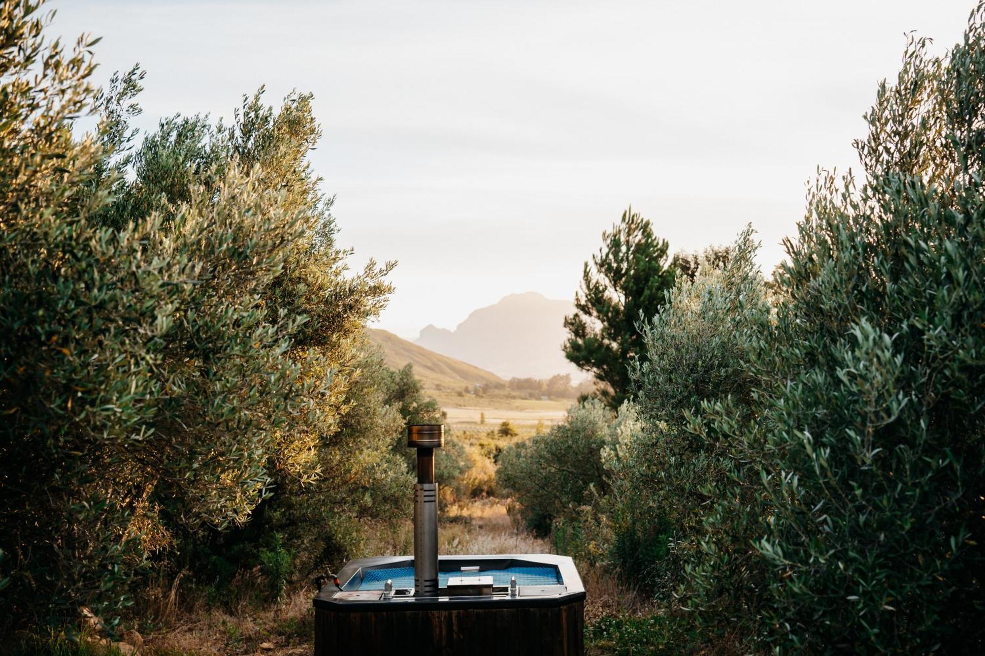 Wagyu Mountain Lodge Paarl Bagian luar foto