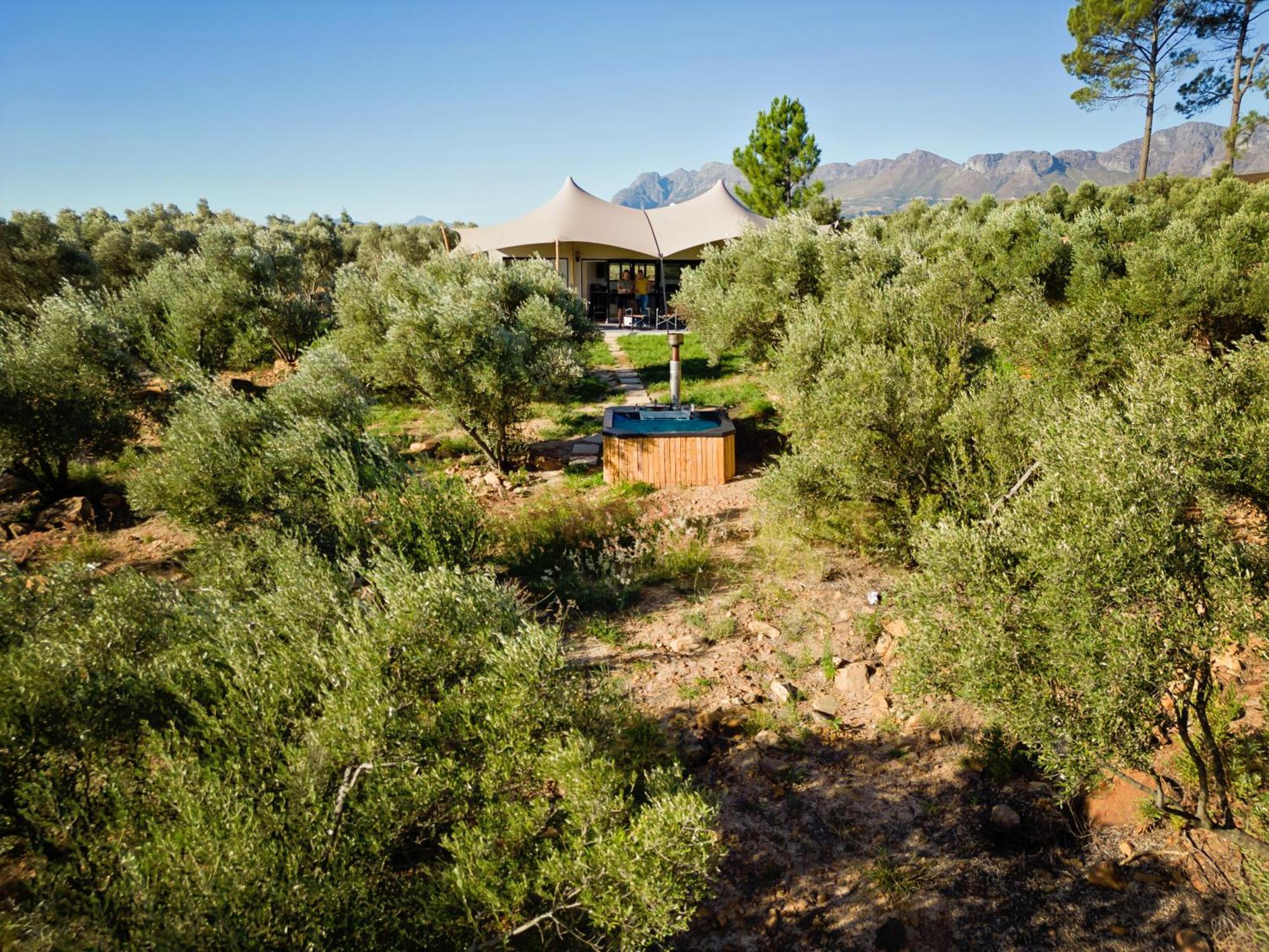 Wagyu Mountain Lodge Paarl Bagian luar foto
