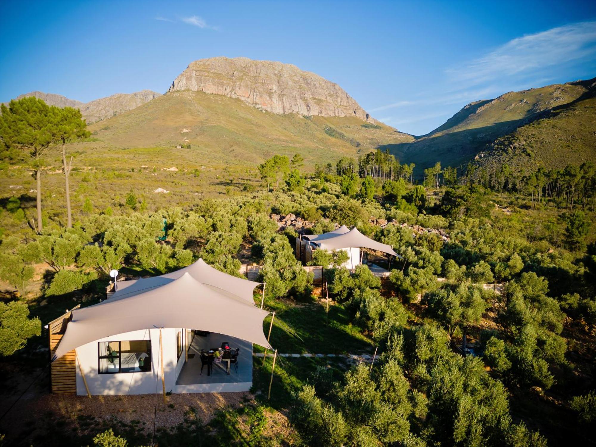 Wagyu Mountain Lodge Paarl Bagian luar foto