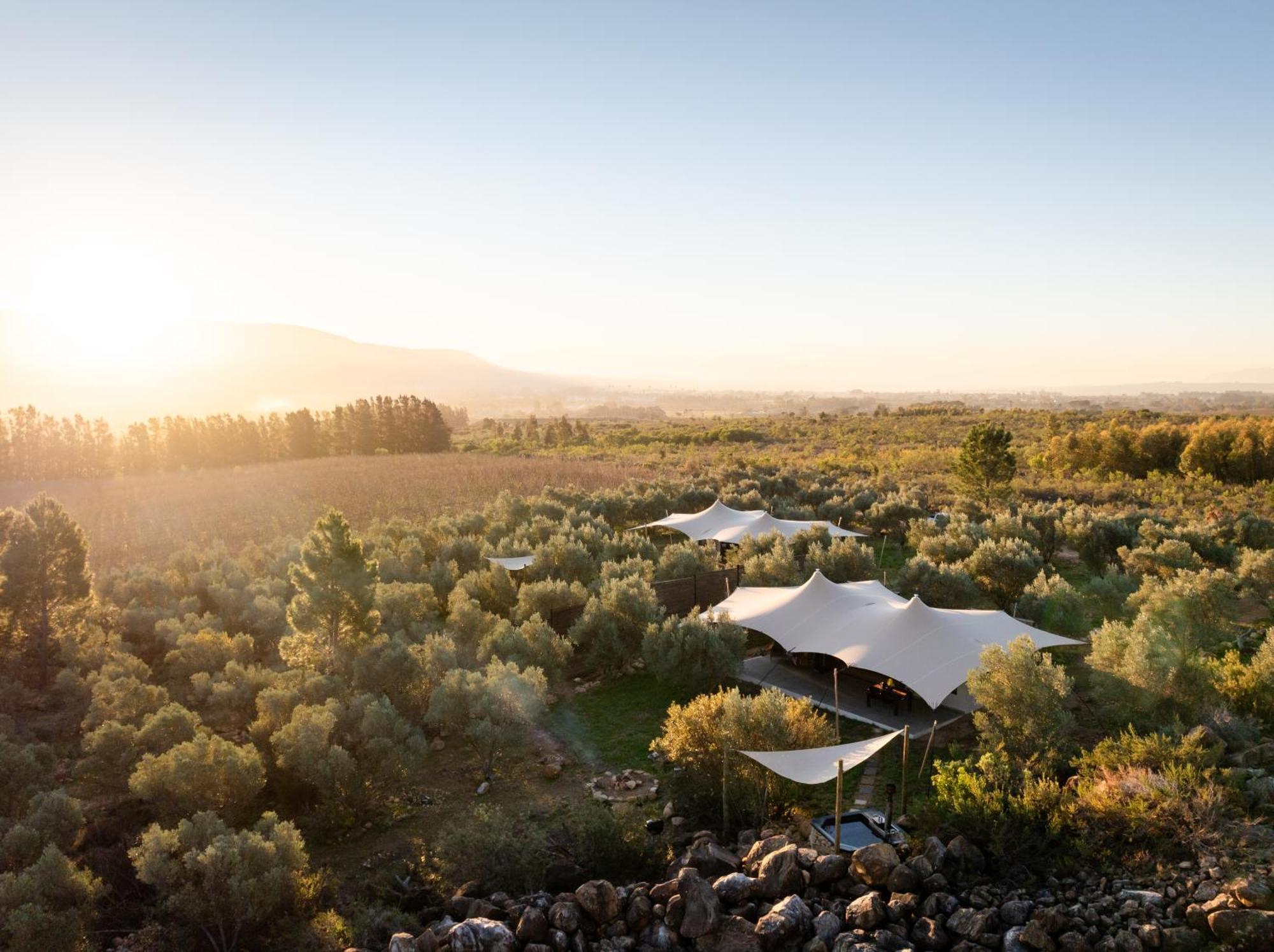 Wagyu Mountain Lodge Paarl Bagian luar foto
