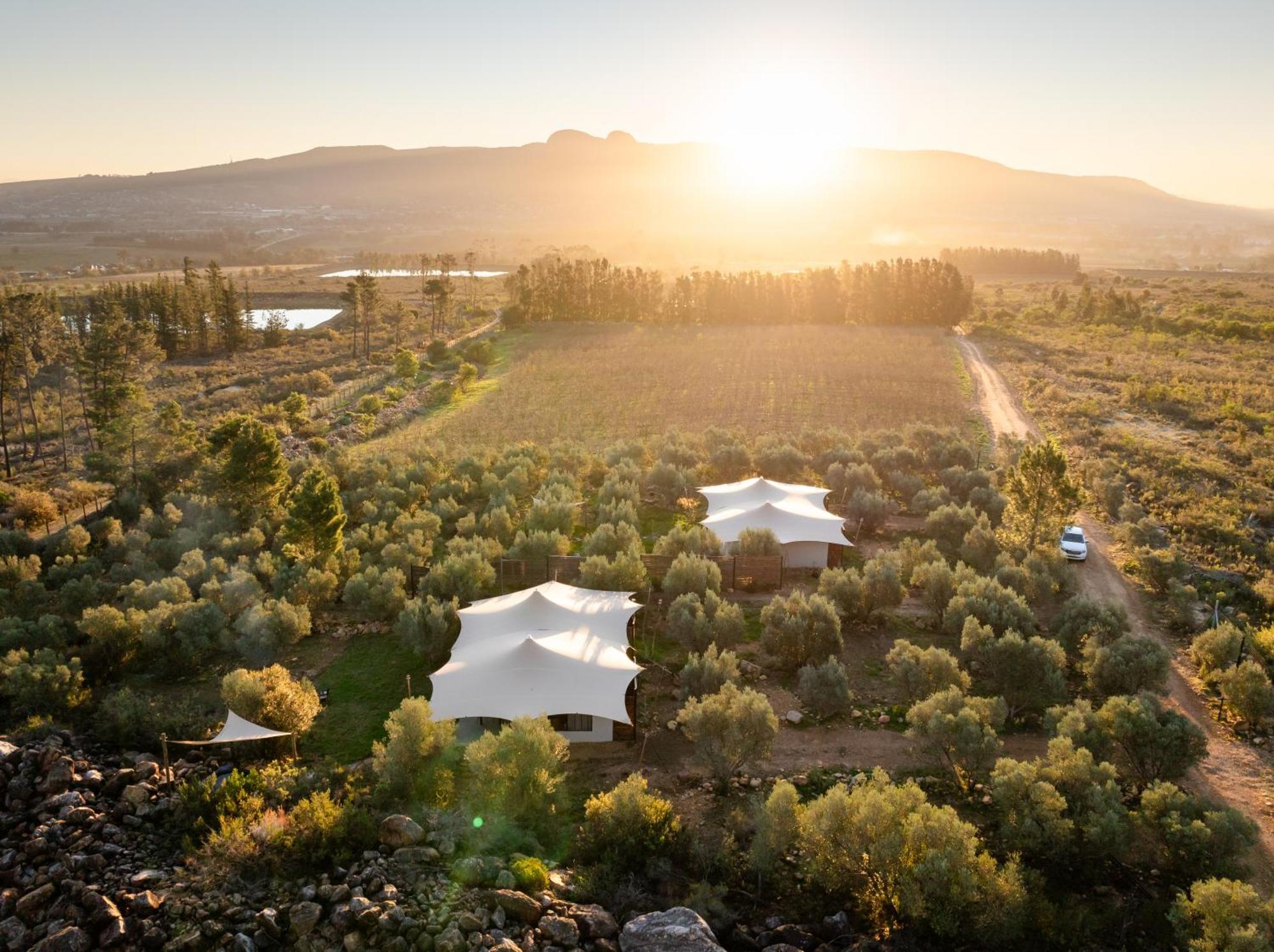 Wagyu Mountain Lodge Paarl Bagian luar foto