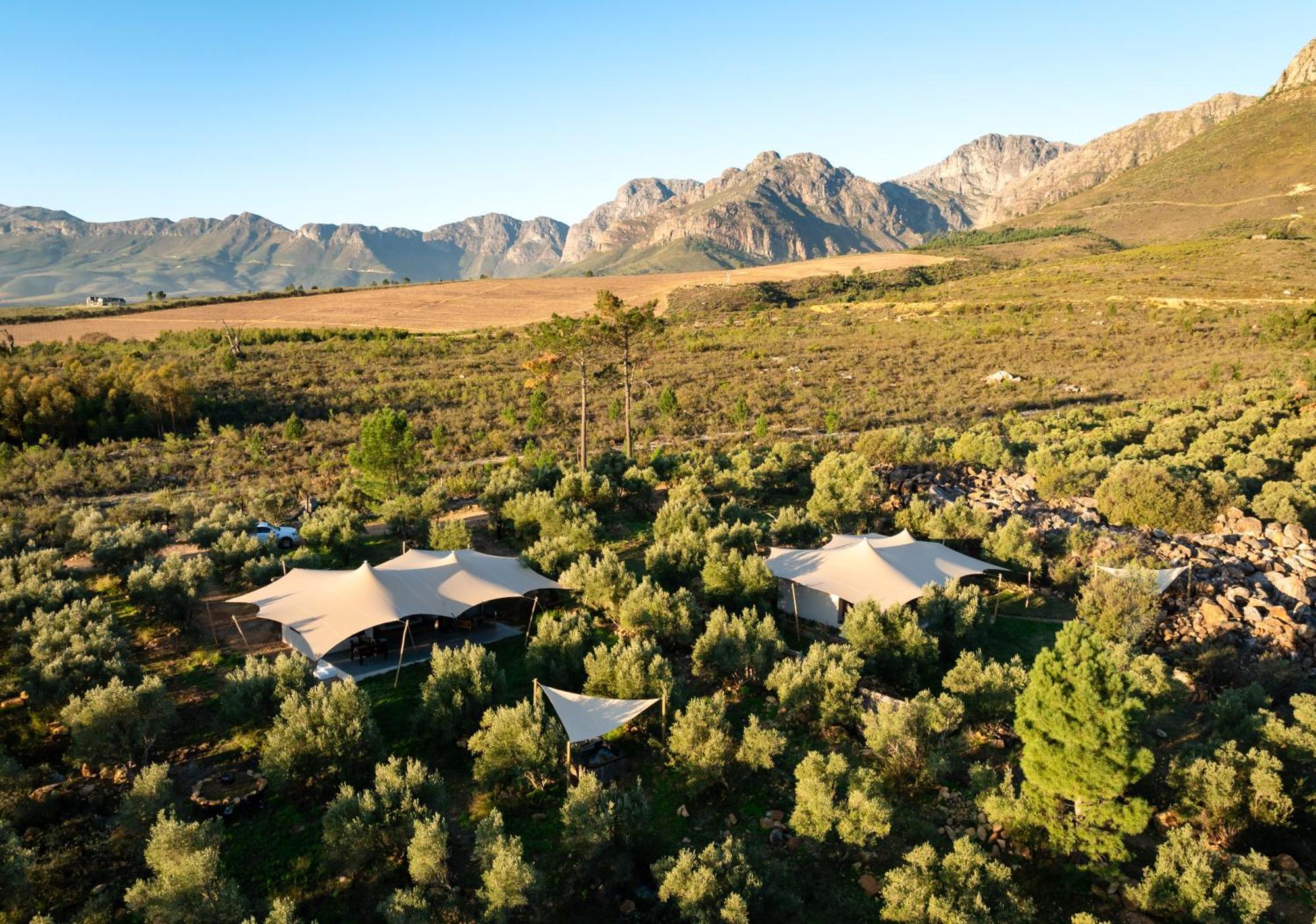 Wagyu Mountain Lodge Paarl Bagian luar foto