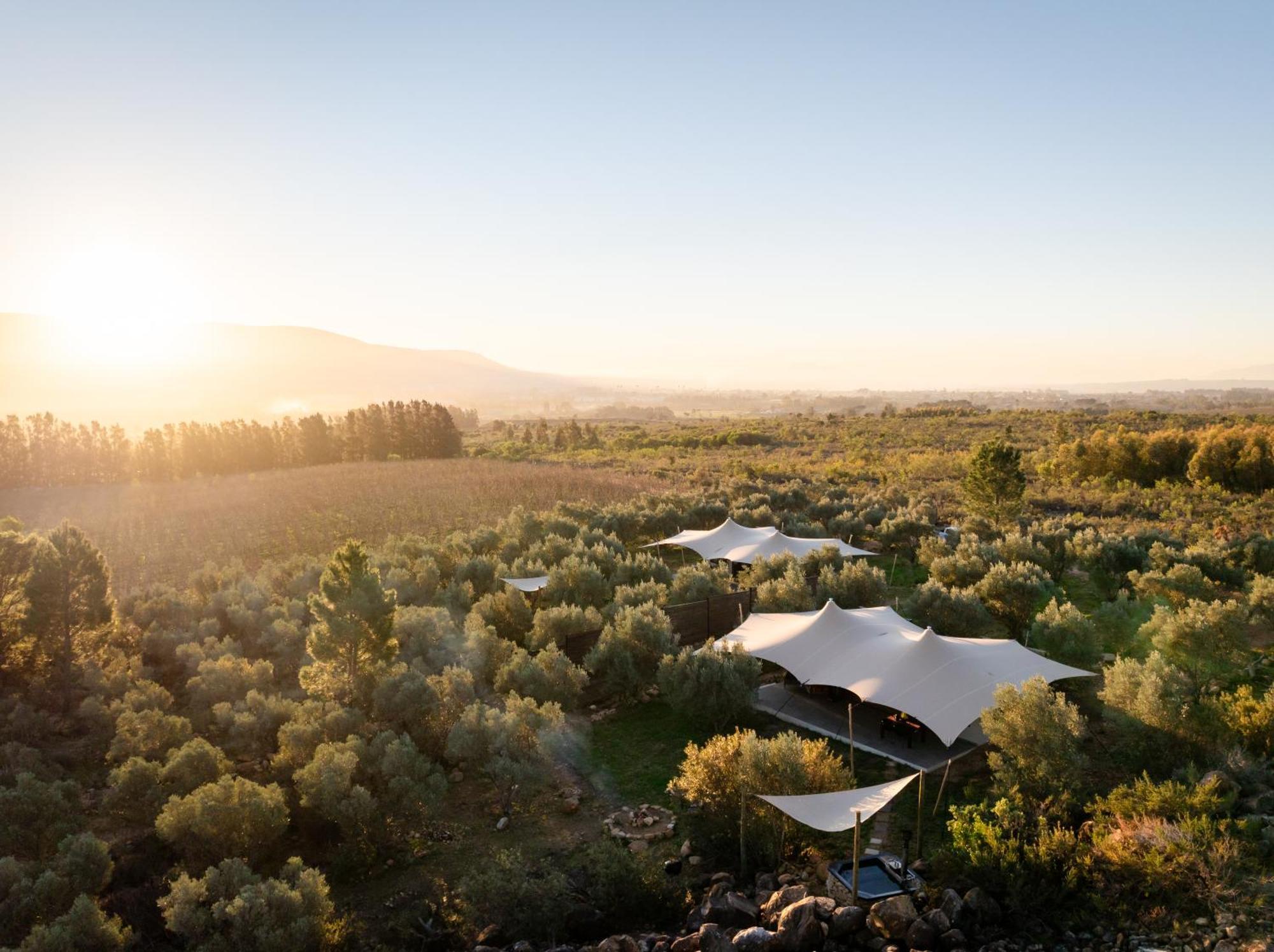 Wagyu Mountain Lodge Paarl Bagian luar foto